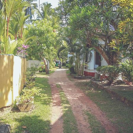 Hikka Surf Hostel هيكادوفا المظهر الخارجي الصورة