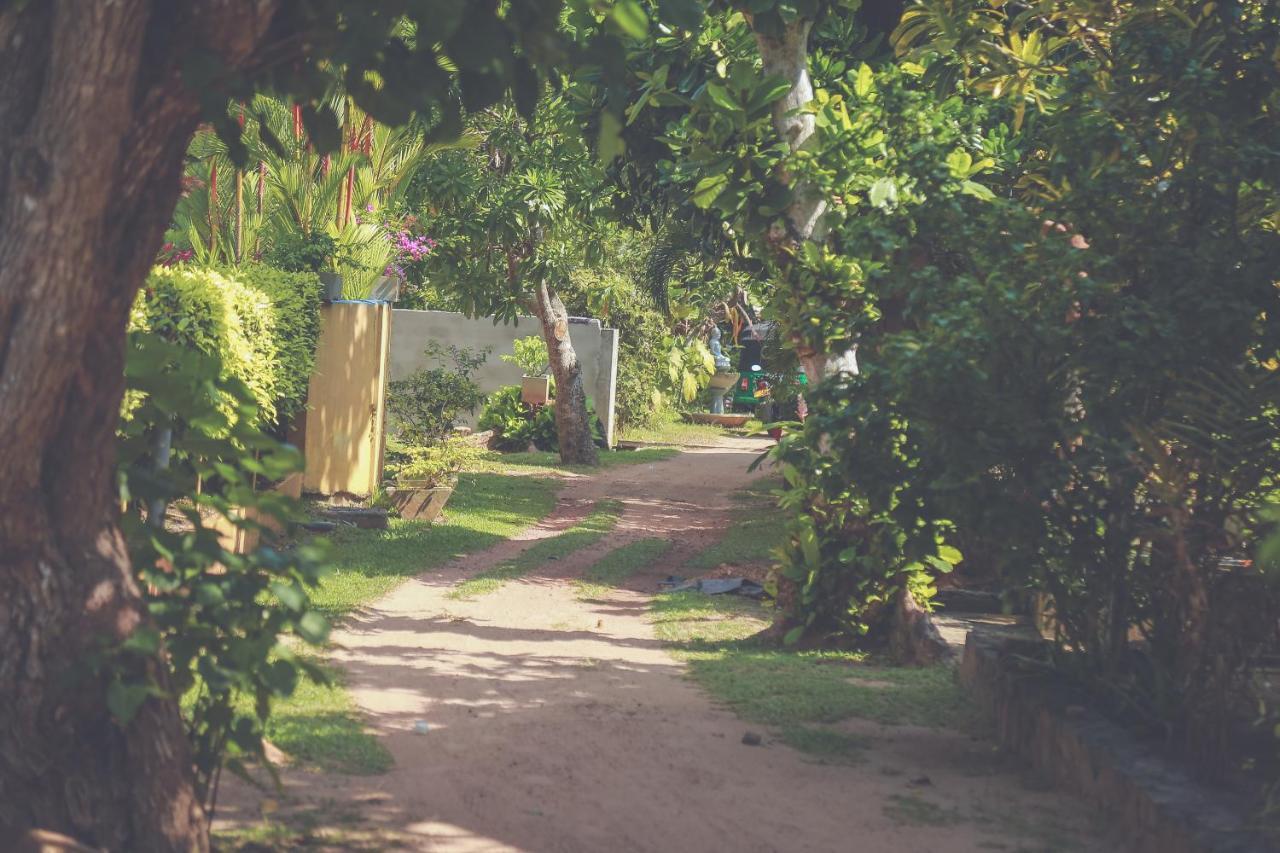 Hikka Surf Hostel هيكادوفا المظهر الخارجي الصورة
