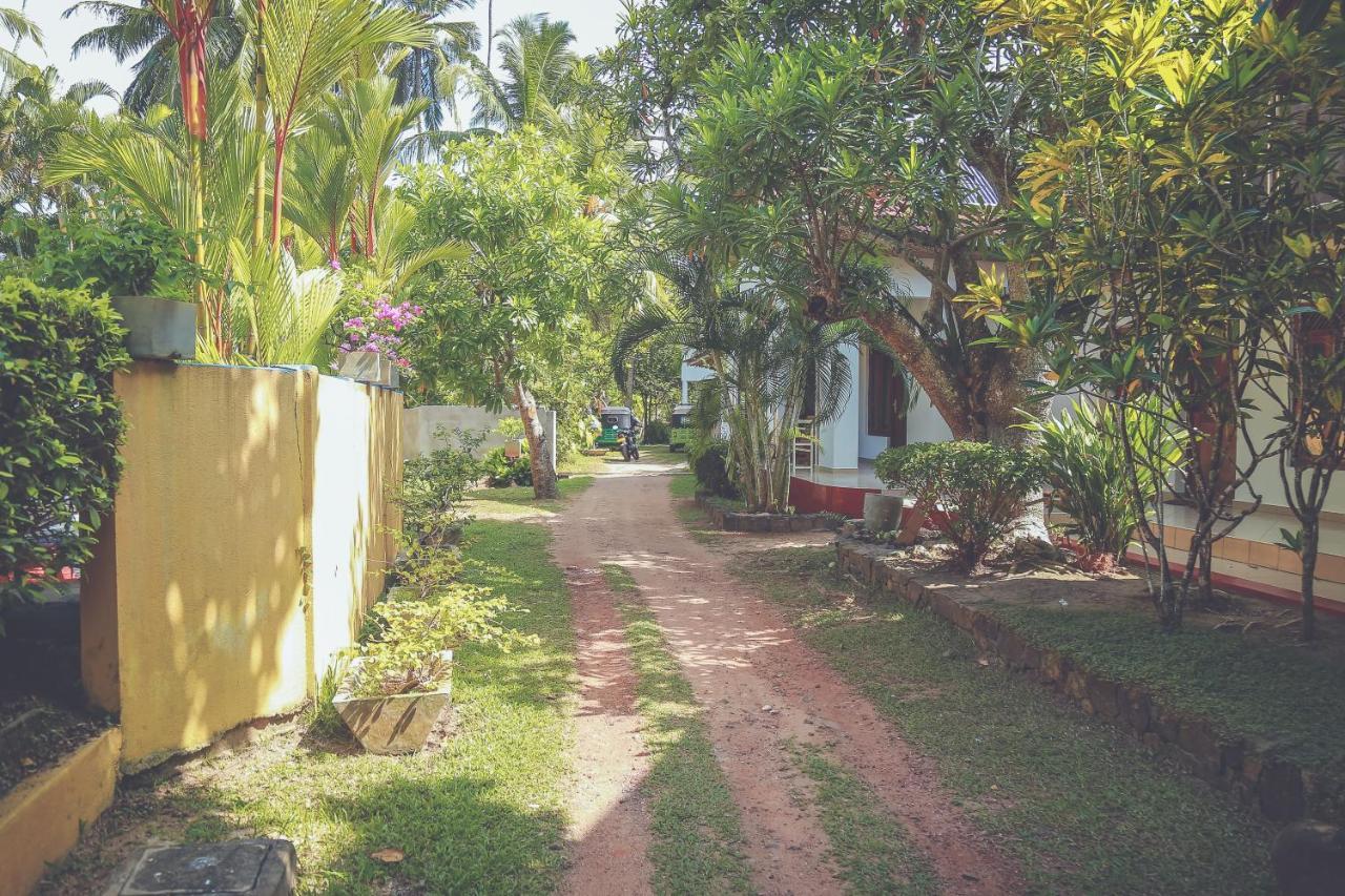Hikka Surf Hostel هيكادوفا المظهر الخارجي الصورة